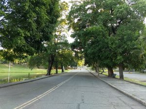 quinta da boa vista